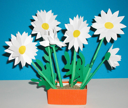 Bouquet de marguerites