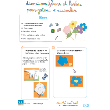 Décorations de gâteau : fleurs et herbes à assembler