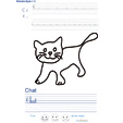 Exercice d'écriture sur le chat