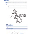 Exercice d'écriture sur le moustique