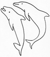 coloriage dauphin
