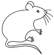 coloriage souris