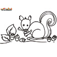 Coloriage ecureuil