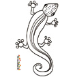 Coloriage lezard