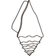 Coloriages de coquillages, crustacés et divers de la mer