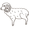 Coloriage animaux ferme