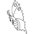 Coloriage papillon