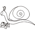Coloriages d' escargot et de mollusques terrestres