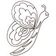 Coloriages de papillons