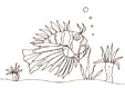 Coloriage des poissons