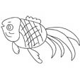 poisson