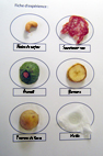 expérience aliments gras