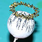 Coller l'anneau de l'ange