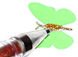 DÃ©corer le papillon