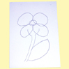 dessin de coquelicot