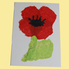 repasser les traits de contour du coquelicot