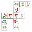 Dominos des fleurs