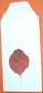 coller une feuille d'automne