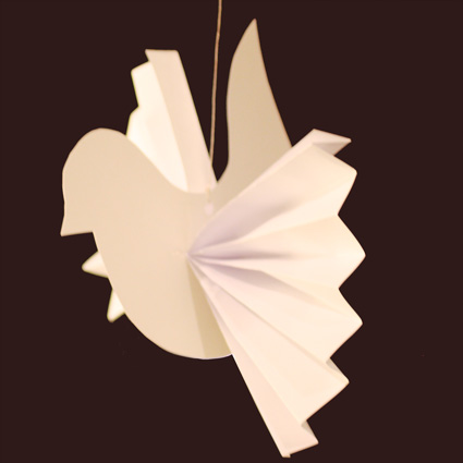 Colombe blanche
