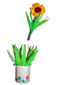 Planter les fleurs