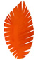 Franger les plumes