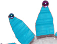 Coller les perles