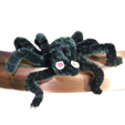 l'araignée velue