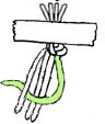 noeud de bracelet brésilien