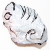 peindre les traits du chat