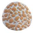 coller les coquilles sur la surface du disque