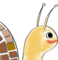 tête de l'escargot