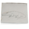 dessiner un crocodile