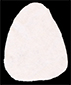 Coquille d'oeuf