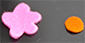 Fleur et son coeur