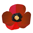 coquelicot papier