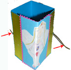 Fabriquer une carte sauteuse