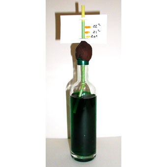 Fabriquer un thermomètre avec une bouteille