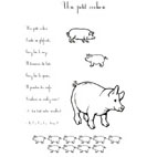 cochon