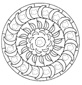 coloriage d'un mandala aux croissants et aux fleurs 