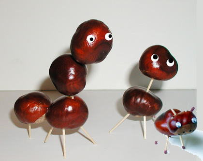 Animaux marrons