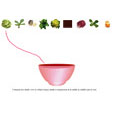 salade verte