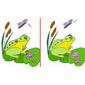 activite 1