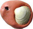 visuel 5