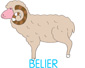 Colorier le dessin