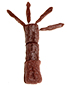 Coller les branches