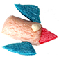 Coller les 2 triangles bleus