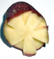 Faire tampon en pomme de terre