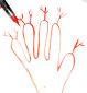 dessiner les branches d'arbre