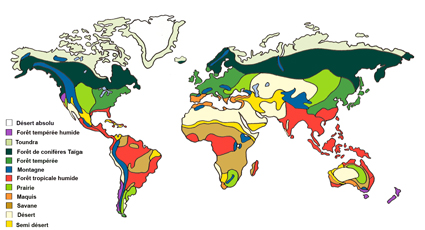 biomes