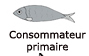 consommateur primaire